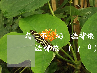 欠錢不還起訴法律依據(jù)（欠錢不還起訴法律依據(jù)）
