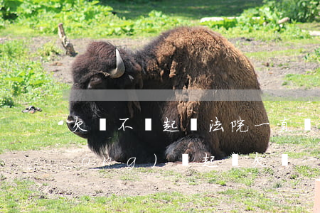 欠錢不還起訴法院一直沒(méi)動(dòng)靜（起訴欠錢一直沒(méi)通知）