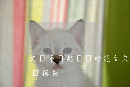 欠錢不還起訴狀的范文 欠錢不還起訴狀怎么寫模板