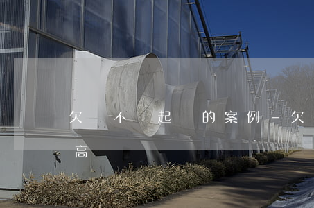 欠錢不還起訴的案例-欠錢不還起訴成功率高嗎