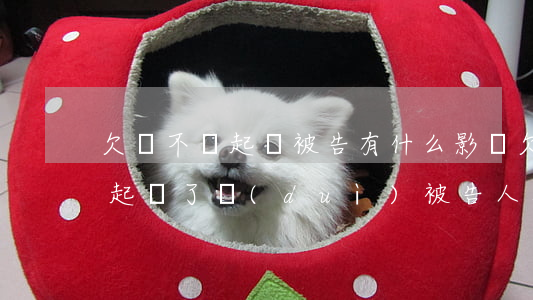 欠錢不還起訴被告有什么影響(欠錢不還法院起訴了對(duì)被告人有什么影響)