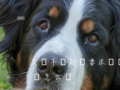 欠錢不還起訴要求賠償(欠錢不還起訴要求賠償怎么寫)