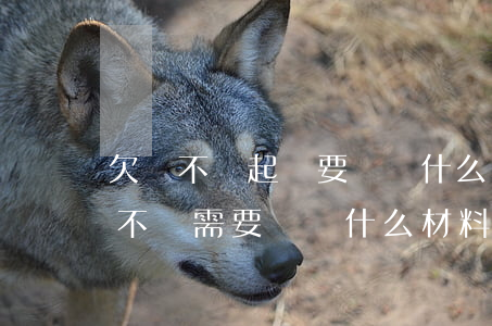 欠錢不還起訴要準備什么材料(起訴別人欠錢不還需要準備什么材料)