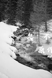 欠錢不還起訴要身份證(欠錢不還起訴要身份證原件嗎)