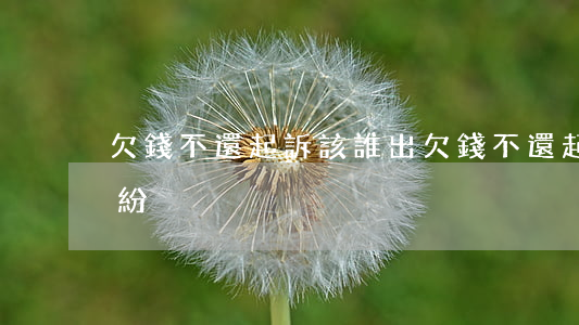 欠錢不還起訴該誰出(欠錢不還起訴是什么糾紛)