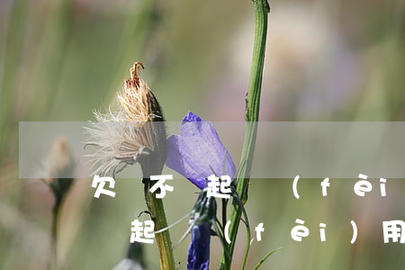 欠錢不還起訴費(fèi)怎么算(欠賬不還錢起訴費(fèi)用)