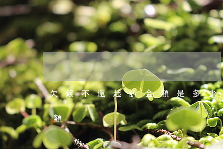 欠錢不還起訴金額是多少（欠錢不還的起訴金額）