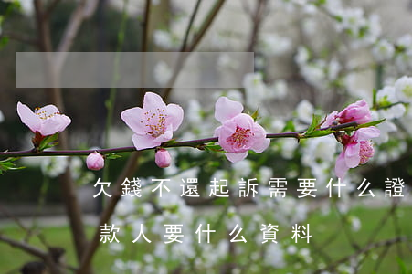欠錢不還起訴需要什么證據(jù)(起訴欠款人要什么資料)