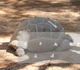 欠錢不還起訴需要好久 欠錢不還起訴要多久開庭審理