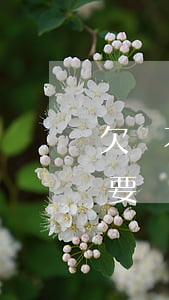 欠錢不還起訴需要請律師嗎(欠錢不還起訴需要請律師嗎)
