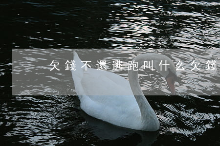 欠錢不還逃跑叫什么（欠錢不還逃避刑事起訴）