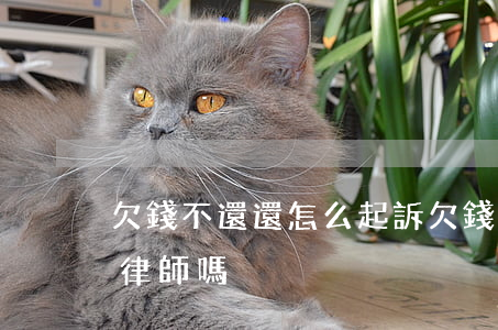 欠錢不還還怎么起訴 欠錢不還怎么起訴需要律師嗎