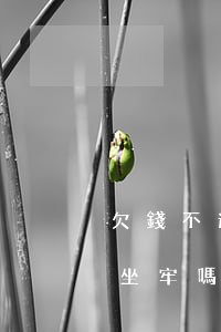 欠錢不還錢可以起訴-欠錢不還錢起訴了要坐牢嗎