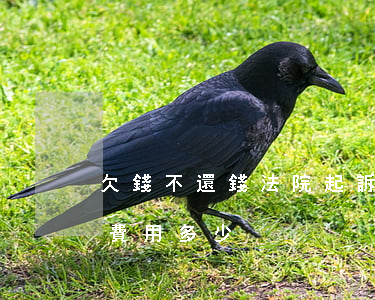 欠錢不還錢法院起訴費(欠錢不還錢法院起訴費用多少)