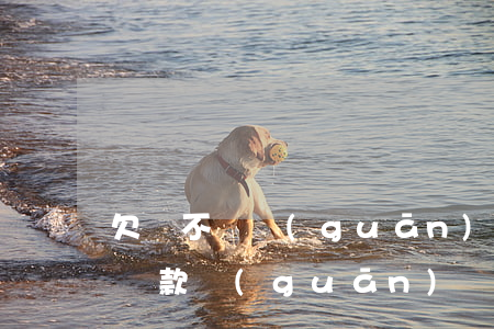 欠錢不還關(guān)機(jī)（還不起貸款關(guān)機(jī)）