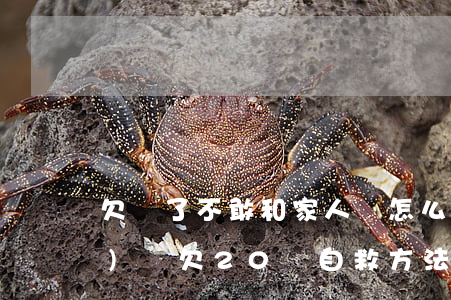 欠錢了不敢和家人說怎么辦-網(wǎng)貸欠20萬自救方法