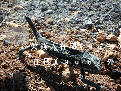 欠錢人在國(guó)外怎么起訴(欠錢的人在國(guó)外)