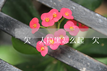 欠錢人拉黑怎么起訴(欠錢被拉黑名單怎么辦)