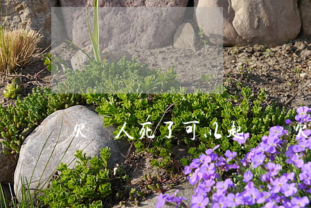 欠錢人死了可以起訴嗎(欠錢人死了可以起訴嗎)