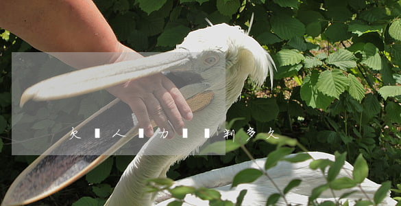 欠錢人無力償還判多久