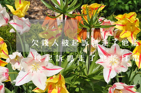 欠錢人被起訴抓走了他能打電話嗎-欠錢人被起訴抓走了他能打電話嗎怎么辦
