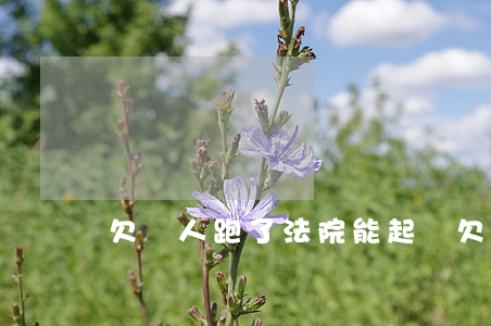 欠錢人跑了法院能起訴(欠錢的人跑了)