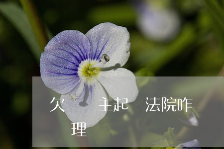 欠錢債主起訴法院咋辦(債主起訴沒錢還怎么處理)