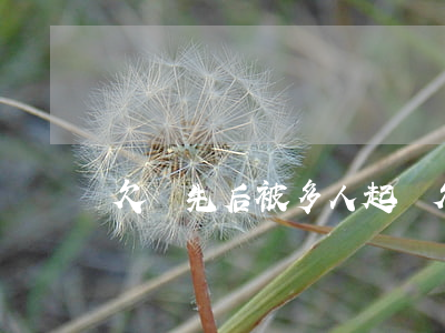 欠錢先后被多人起訴(欠錢被多家起訴怎么辦)