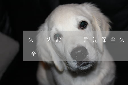 欠錢先起訴還是先保全 欠錢先起訴還是先保全