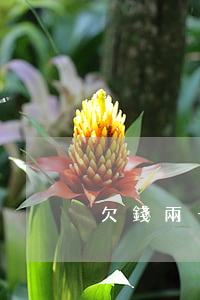 欠錢兩千打官司(欠款兩千法院起訴)