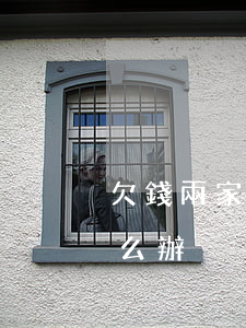 欠錢兩家都起訴了怎么辦(欠錢被多家起訴怎么辦)