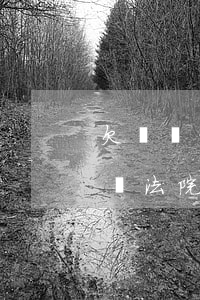 欠錢兩年了可以起訴嗎(欠錢兩年了可以起訴嗎法院)