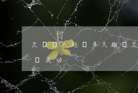 欠錢別人起訴多久撤訴(欠錢別人起訴多久撤訴成功)