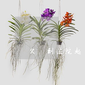 欠錢到法院起訴的程序(欠錢去法院)