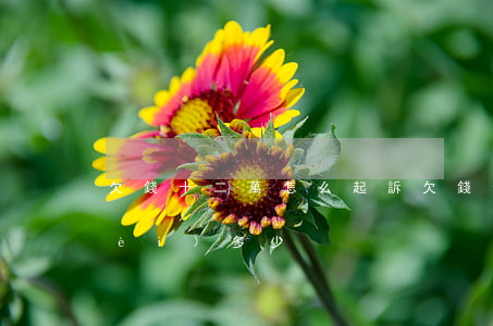 欠錢十二萬怎么起訴(欠錢十二萬訴訟費(fèi)多少)