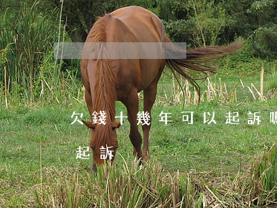 欠錢十幾年可以起訴嗎(欠債十幾年了能不能起訴)