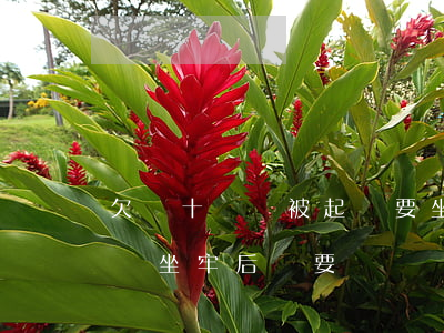 欠錢十幾萬被起訴要坐牢嗎(欠幾十萬不還起訴坐牢后還要還錢嗎)