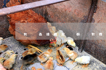 欠錢去法院起訴好嗎(欠我錢去法院起訴)