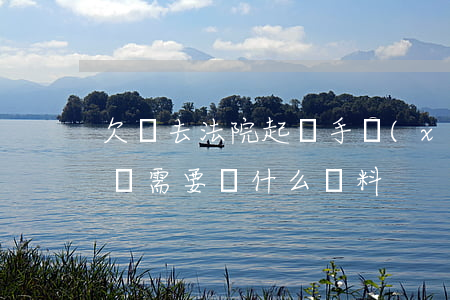 欠錢去法院起訴手續(xù)(欠錢去法院起訴需要帶什么資料)