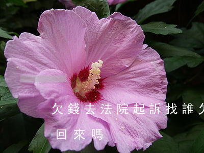 欠錢去法院起訴找誰 欠款去法院起訴,錢能要回來嗎