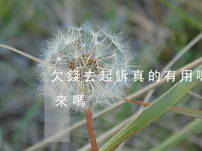 欠錢去起訴真的有用嗎 欠錢起訴一定能要回來嗎