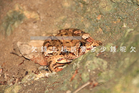 欠錢去起訴要多少錢呢（欠錢去起訴要多少錢）