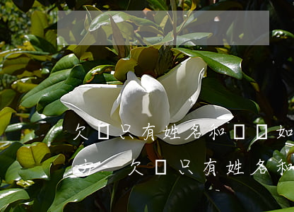 欠錢只有姓名和電話如何起訴對(duì)方-欠錢只有姓名和電話如何起訴對(duì)方?