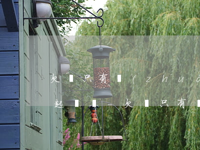 欠錢只有轉(zhuǎn)賬記錄截屏可以起訴嗎-欠錢只有轉(zhuǎn)賬記錄截屏可以起訴嗎有效嗎