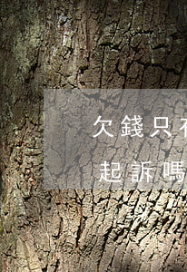 欠錢只有轉(zhuǎn)賬記錄截屏可以起訴嗎-欠錢只有轉(zhuǎn)賬記錄截屏可以起訴嗎法院