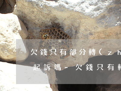 欠錢只有部分轉(zhuǎn)賬記錄可以起訴嗎-欠錢只有轉(zhuǎn)賬記錄能立案嗎