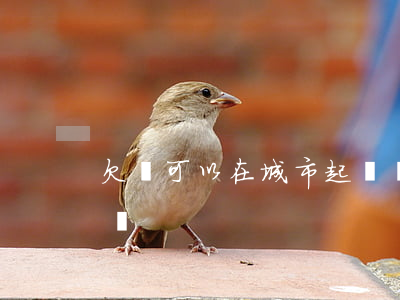 欠錢可以在城市起訴嗎(欠錢可以在本地起訴嗎)