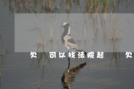 欠錢可以找法院起訴嗎(欠錢能不能起訴)