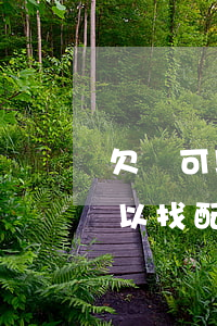 欠錢可以把他的配偶一起起訴嗎(欠錢不還可以找配偶嗎)