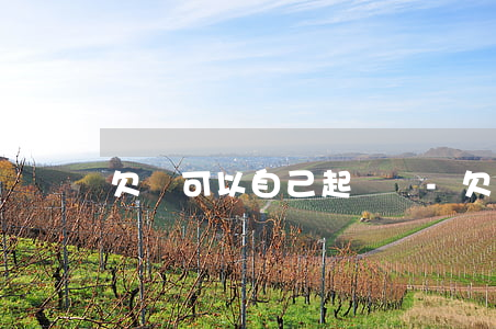 欠錢可以自己起訴嗎-欠錢可以自己起訴嗎?